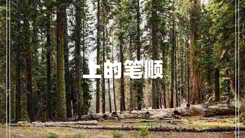 上的筆順