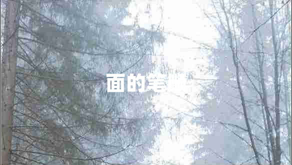 面的筆順