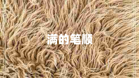 滿(mǎn)的筆順