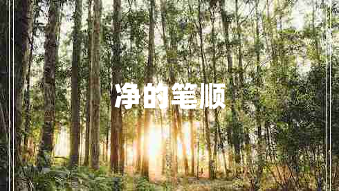 凈的筆順
