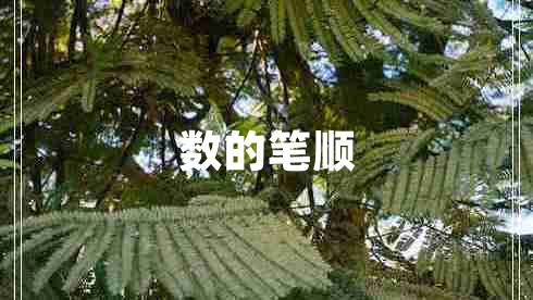 數的筆順