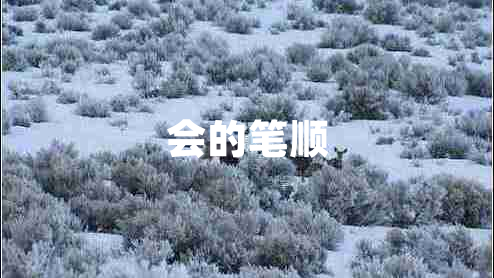 會(huì )的筆順
