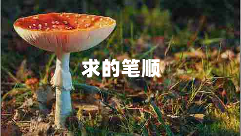 求的筆順
