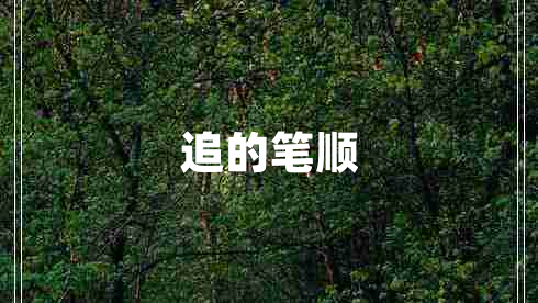 追的筆順