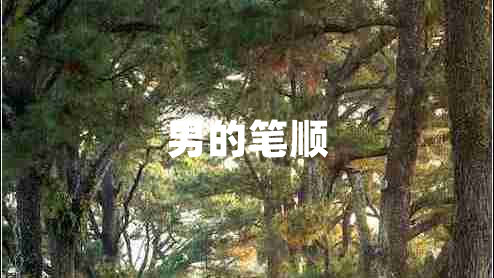 男的筆順
