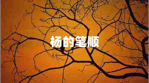 楊的筆順