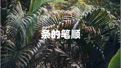 條的筆順
