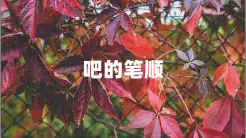 吧的筆順