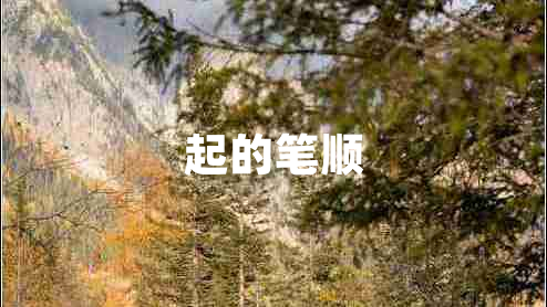 起的筆順