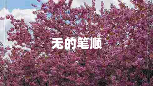 無(wú)的筆順