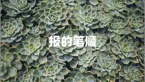 報的筆順