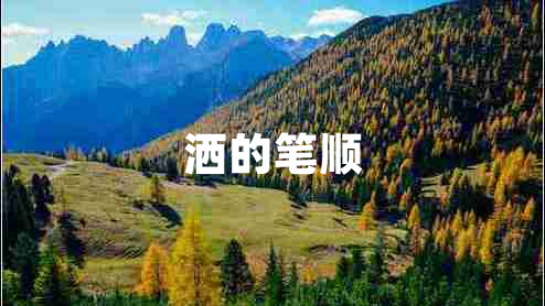 灑的筆順