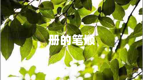 冊的筆順