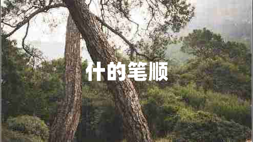 什的筆順