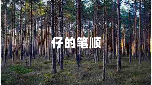 仔的筆順