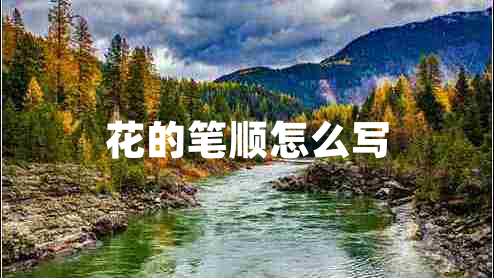 花的筆順怎么寫(xiě)