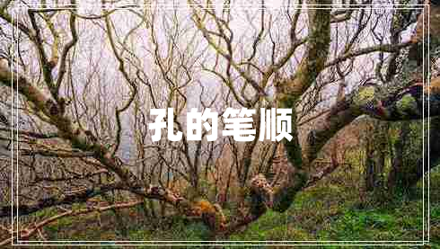孔的筆順