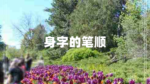 身字的筆順