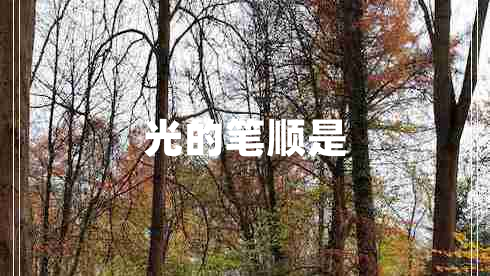 光的筆順是