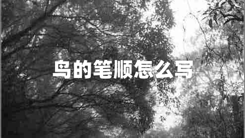 鳥(niǎo)的筆順怎么寫(xiě)