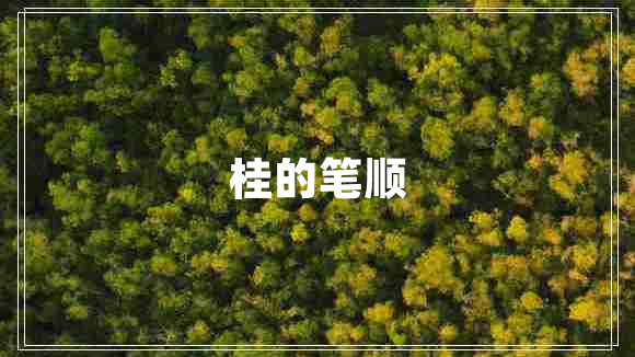 桂的筆順