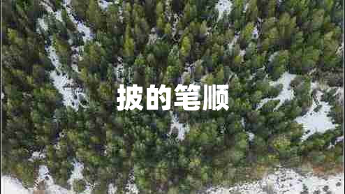 披的筆順