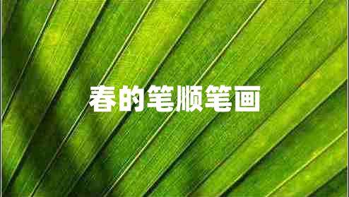 春的筆順筆畫(huà)