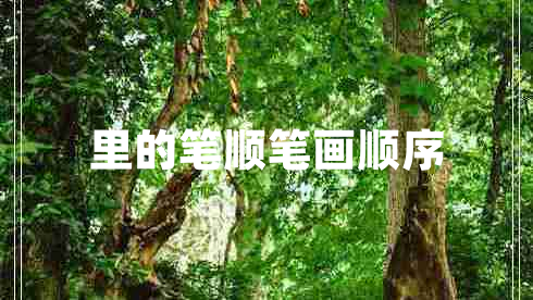 里的筆順筆畫(huà)順序