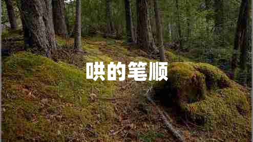 哄的筆順
