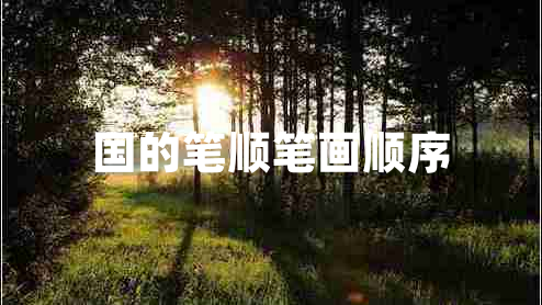 國的筆順筆畫(huà)順序