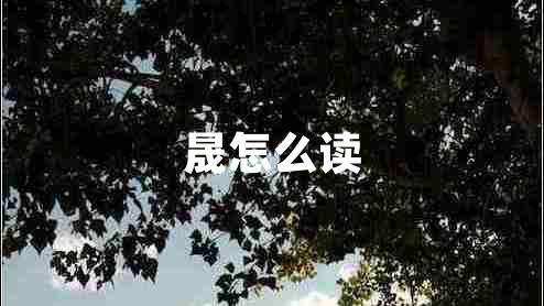 晟怎么讀