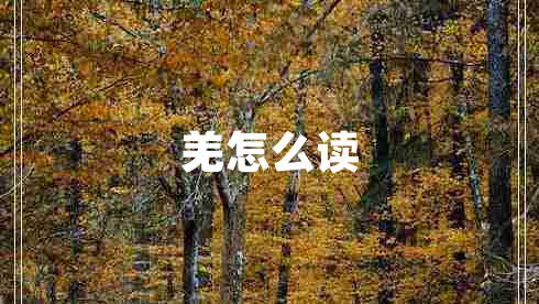羌怎么讀