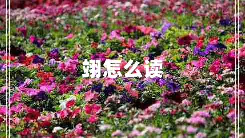 翊怎么讀