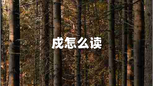 戍怎么讀