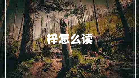 梓怎么讀