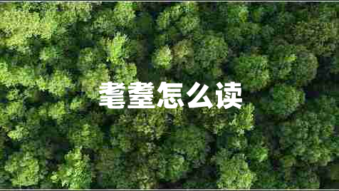 耄耋怎么讀