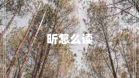 昕怎么讀