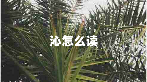 沁怎么讀