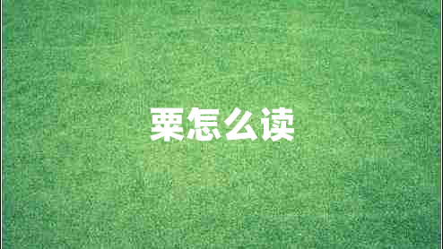 粟怎么讀