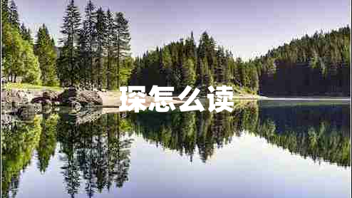 琛怎么讀