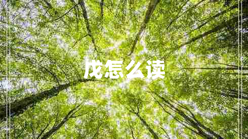 戊怎么讀