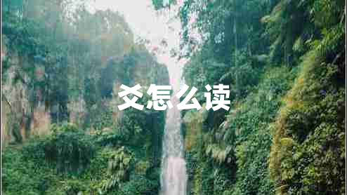 爻怎么讀