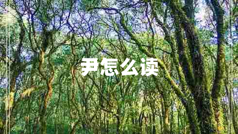 尹怎么讀