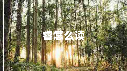 睿怎么讀