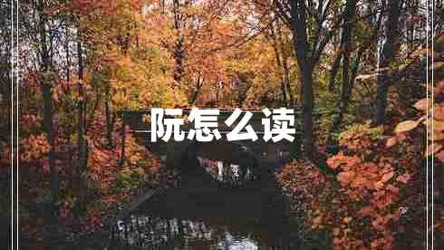 阮怎么讀