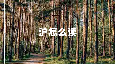 滬怎么讀