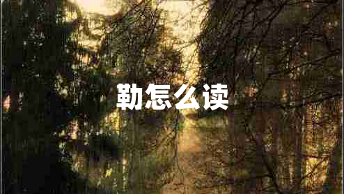 勒怎么讀