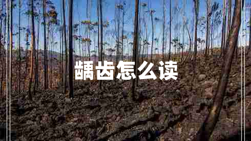 齲齒怎么讀