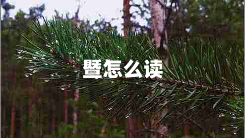 暨怎么讀