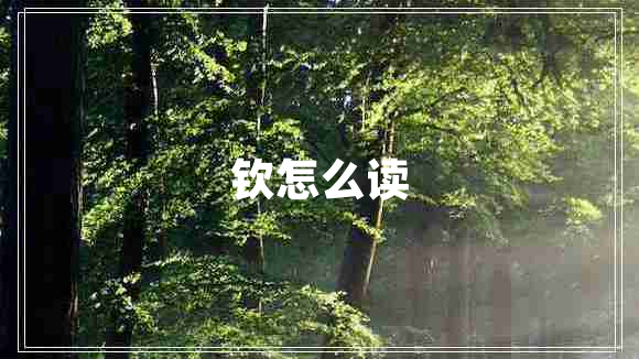 欽怎么讀
